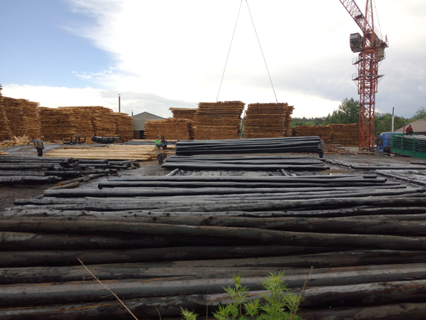 防腐油木桿、防腐油炸桿4