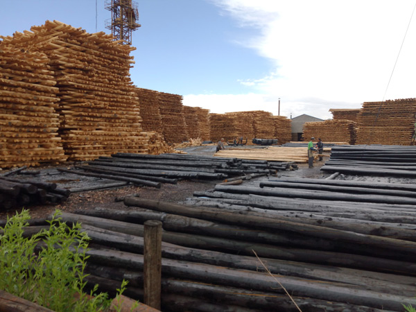 防腐油木桿、防腐油炸桿6