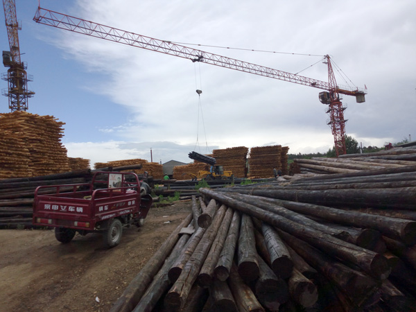 防腐油木桿、防腐油炸桿8